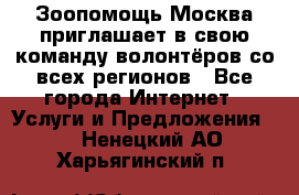 Зоопомощь.Москва приглашает в свою команду волонтёров со всех регионов - Все города Интернет » Услуги и Предложения   . Ненецкий АО,Харьягинский п.